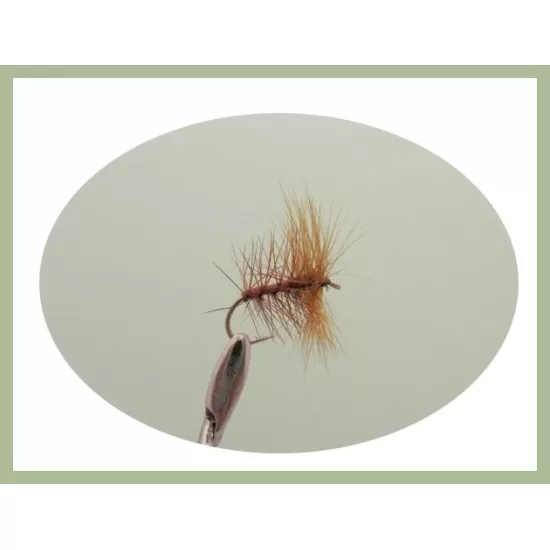 30 Mixed Dry Flies, 10 Varieties