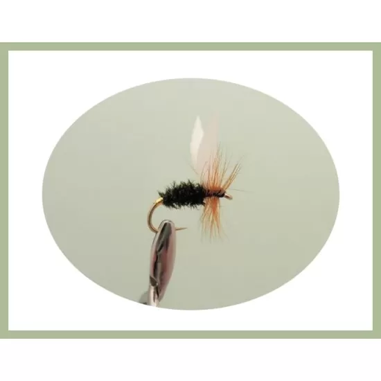 30 Drys, 10 Varieties, all named