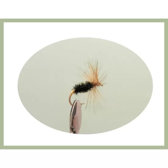 30 Drys, 10 Varieties, all named