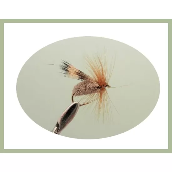 45 Mixed Flies in a Troutflies -  LARGE Silicone Insert Box