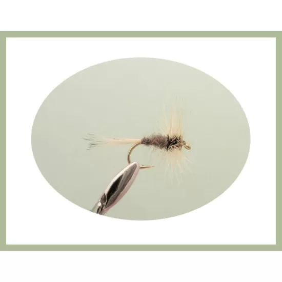 24 Dry Flies in a LARGE Troutflies Silicone Insert Box