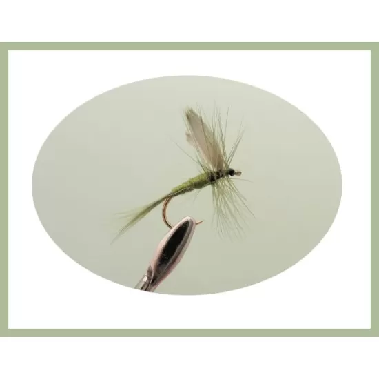 30 Mixed Dry Flies, 10 Varieties