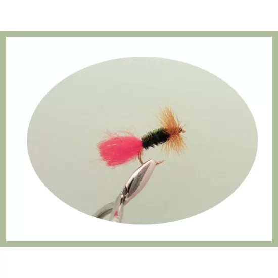 30 Drys, 10 Varieties, all named