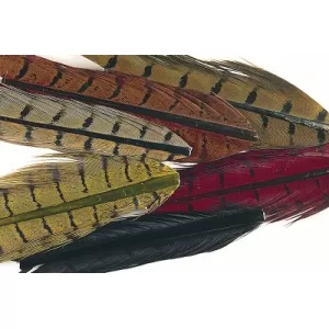 Cock Pheasant Centre Tails Mixed Packet