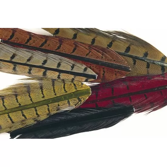 Cock Pheasant Centre Tails Mixed Packet