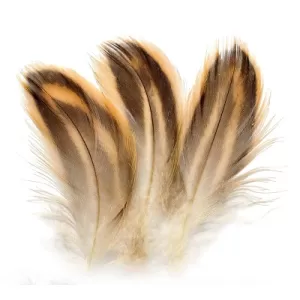 Mallard Hen Flank or Breast