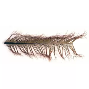Cock Pheasant Knotted Tail feathers