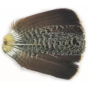 English Partridge Complete Tails