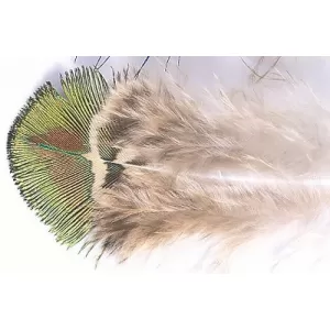 Peacock Gold Body feathers