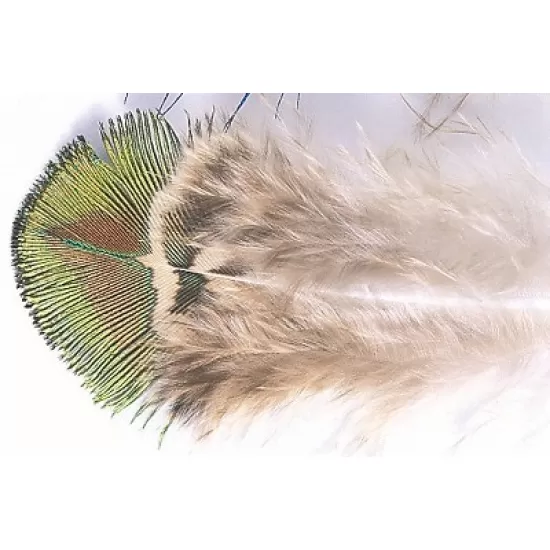 Peacock Gold Body feathers