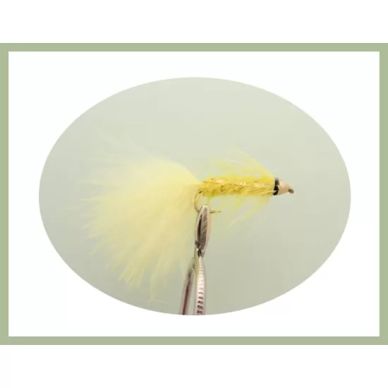 18 Conehead Bullets - Full Colour Range