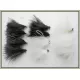 12 Cats Whiskers - Mixed Black and White - Beadeye & GH