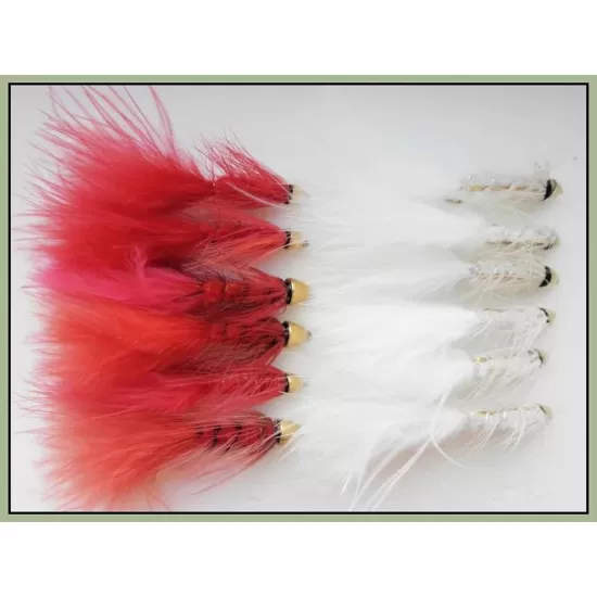 12 Red and White Conehead Bullet