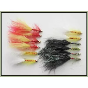 12 Goldhead Dancer,Fire,White & Black