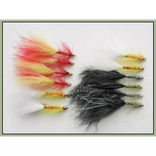 12 Goldhead Dancer,Fire,White & Black