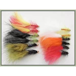 12 Goldhead Dancer, Mixed Colours