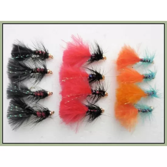 12 Mini Dancer - Black/Red,Black,Orange & Blues