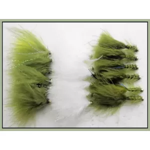 18 Cats,Dawsons & Flash Damsels