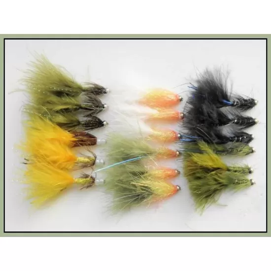 18 Damsels, Sunburst, Deadly, White, Silver, Blue & Red Flash