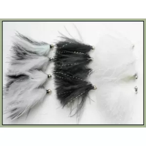 12 Mixed Cats Whiskers, Mixed Varietys