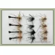 12 Barbless Goldhead Daddy long legs, Black, Standard, detached