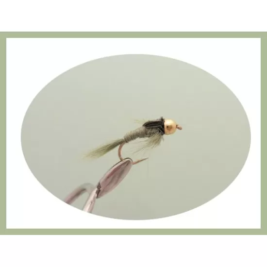 24 Barbless Winter Top Sellers -  Goldhead Olive Damsels, Cats, GH Nymphs, Tungsten Nymphs