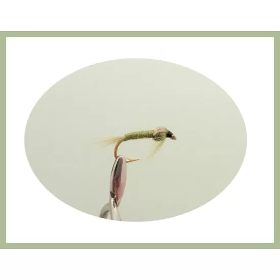 24 Nymphs in a LARGE Troutflies Silicone Insert Box