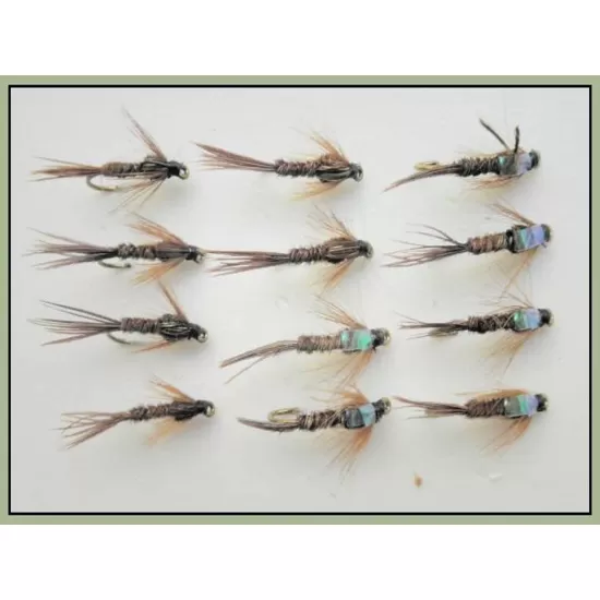 12 Pheasant Tail Nymph, Flash & Standard