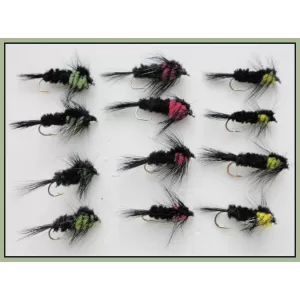 12 Longshank Montana, Yellow, Green, Pink