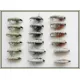 18 Czech Nymph Flies in Olive,Black and Brown