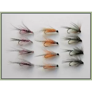 12 Dabblers - Orange, Claret & Green