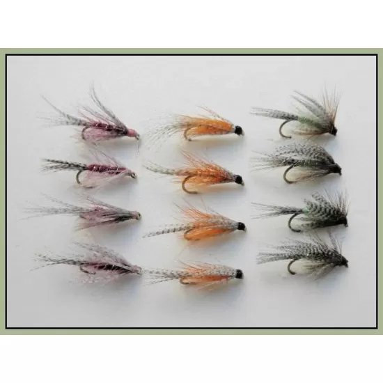 12 Dabblers - Orange, Claret & Green