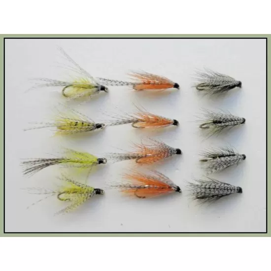 12 Dabblers - Sooty, Orange, Golden