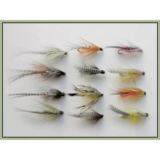 12 Dabblers - All Mixed