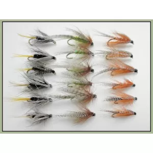 18 Wets, Kate Mclaren and Dabblers