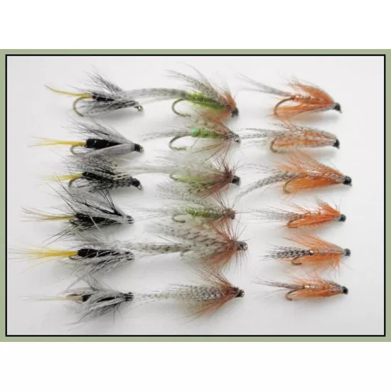 18 Wets, Kate Mclaren and Dabblers