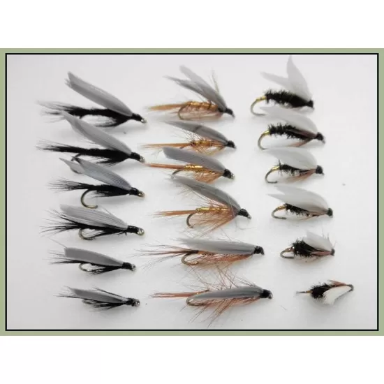 18 Wet Flies, Coachman, Black Gnat, Whickhams