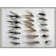 18 Wet Flies, Coachman, Black Gnat, Whickhams