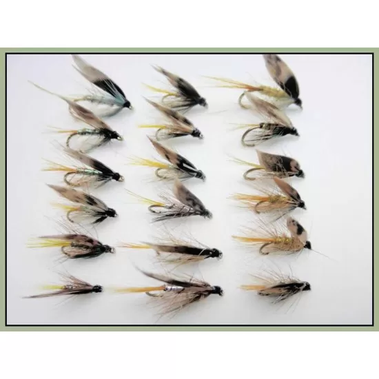 18 Invictas, Silver, Pearly and Normal