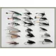 18 Wet Flies - 6 Varieties, Whickhams, Teal, Gnat etc