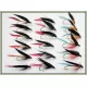 18 Butcher Trout Flies