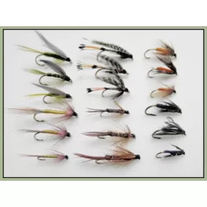 18 Wets - 6 Named Varieties