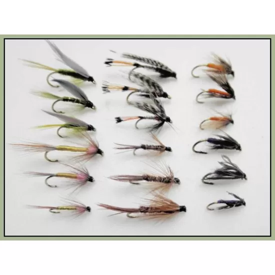 18 Wets - 6 Named Varieties