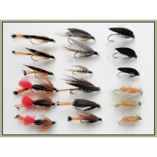 18 Wets - 6 Named Varieties