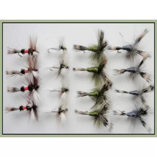 16 Mixed Colour Wulff - Olive, Grey, White, Royal