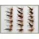 18 Sedge Flies - Silver Olive and Brown