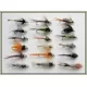 18 Random Goldhead Nymph - All Different