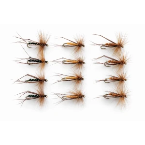 12 Hoppers Orange, Brown & Black