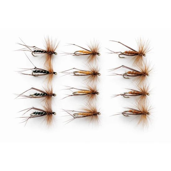 12 Hoppers Orange, Brown & Black
