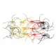 12  Mixed Spandex Spider